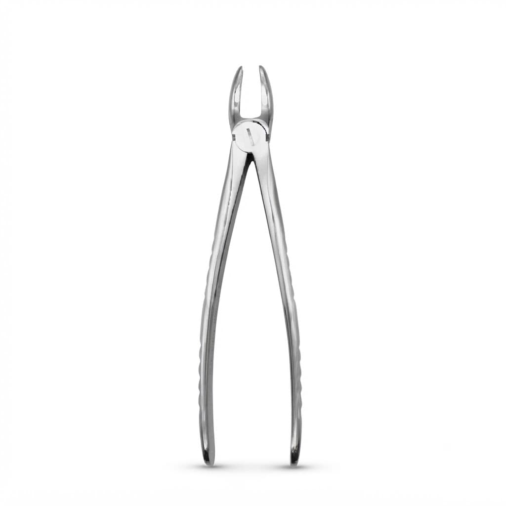 Davier Pour Adultes — Incisives Et Canines Supérieures N°1